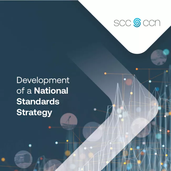 Cover of National Standards Strategy