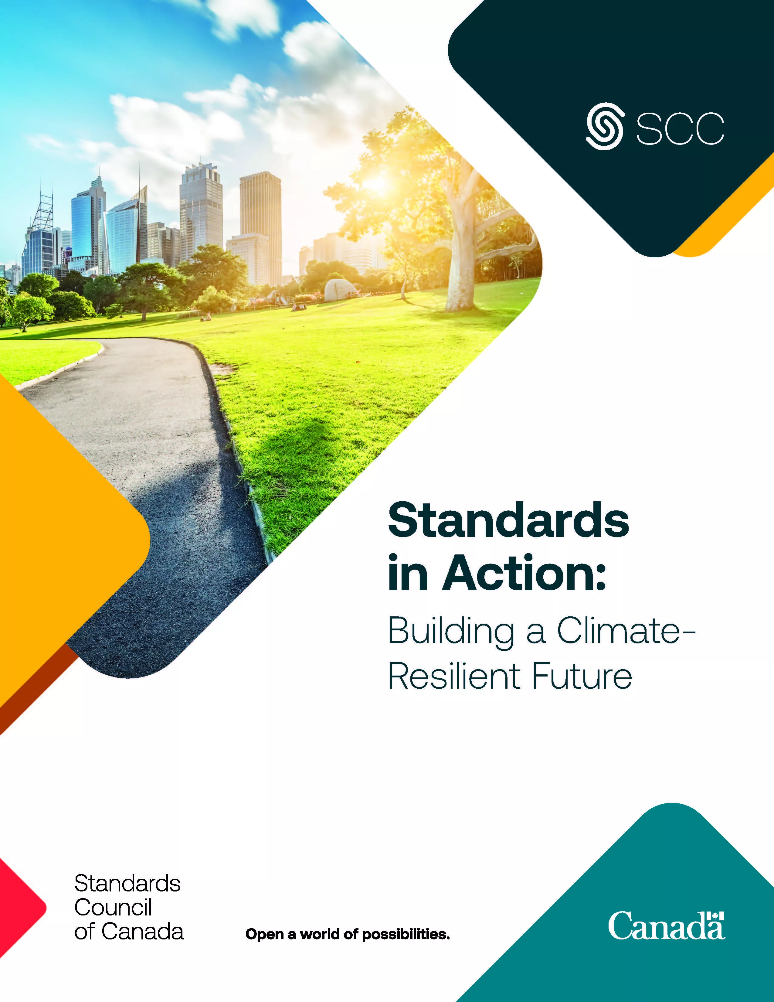 Standards in action cover report