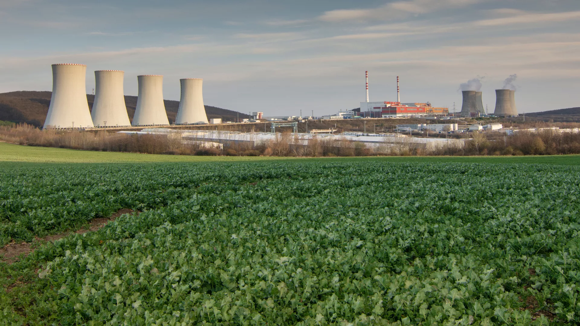 Nuclear plant in spring