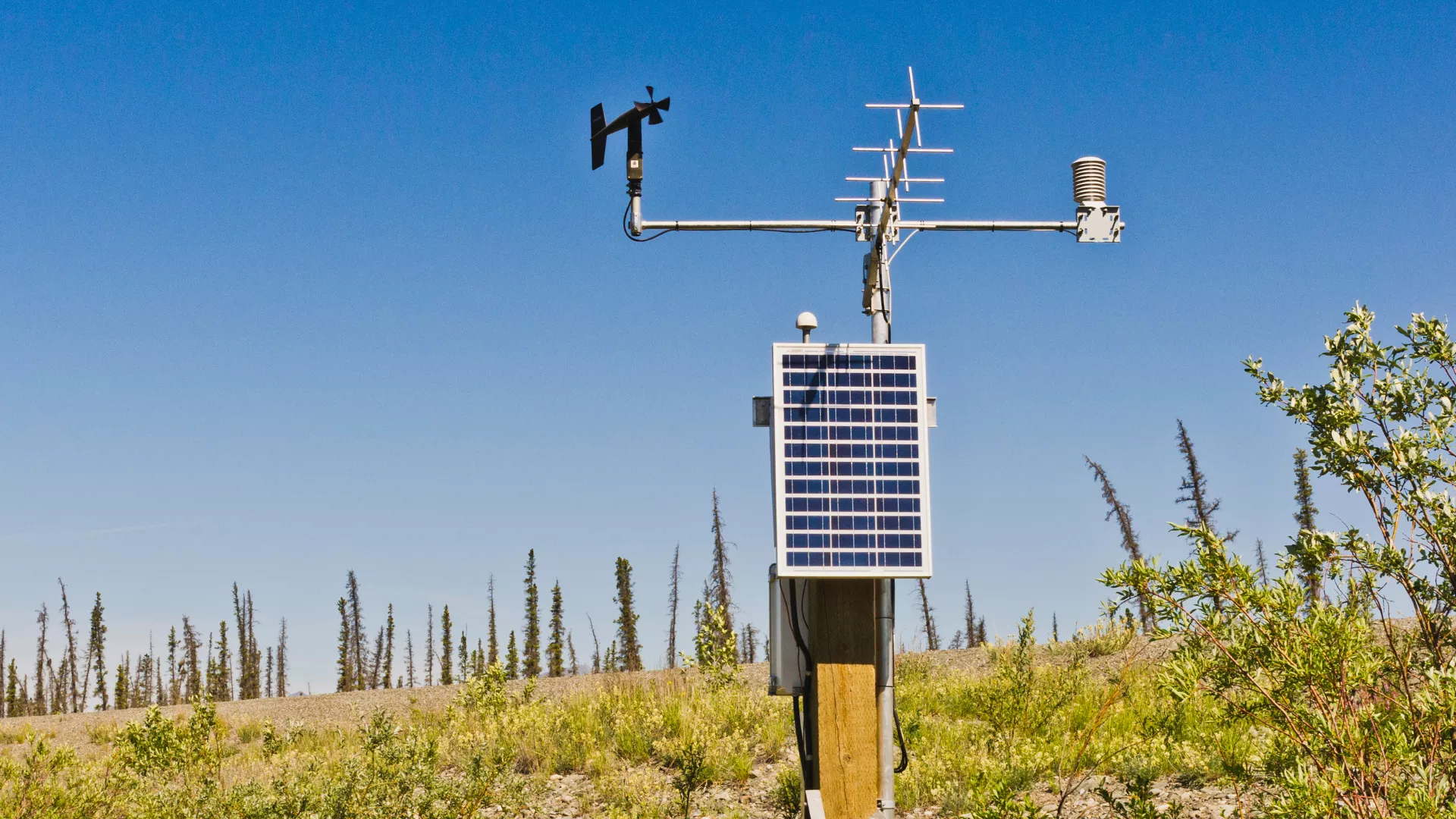 Weather device in field